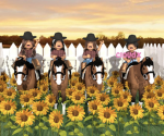 Western x fan group!
