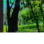 Loredason-1009