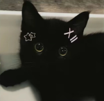 .doll_kitty :3