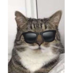 Official Mans group for roblox