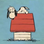 Droopy snoopy