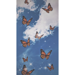B.B Bᴜᴛᴛᴇʀғʟɪᴇs