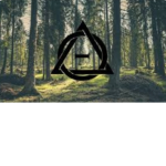 Bearie Army