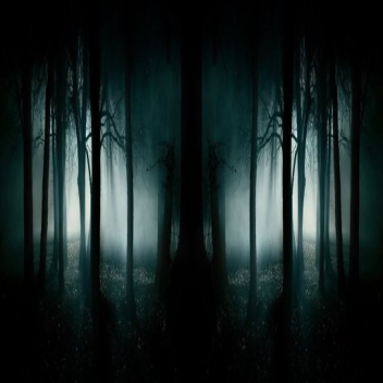 The Dark Forest