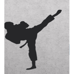 American dragons martial arts