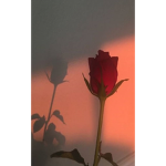 Sad vibez!