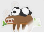 Panda love hangout