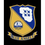 U.S. Navy Blue Angels || Pilot Training Simulator
