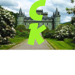 Culture kingdom