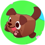 Welcome!  🐾