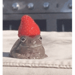 [ Frog Cult ]