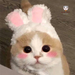 アニメ:)
