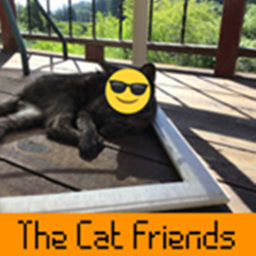 The Cat Friends Donation Center
