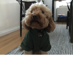 I DA BOSS