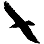 las vegas thunderbirds