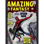 Spider-Man and the Spider-verse