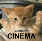 The kitten and cat group!