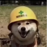 Colinpro
