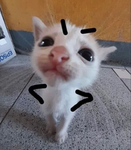 Dårk Dåys
