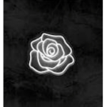 Fallen Vibess