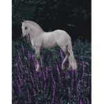 Stallion black stables