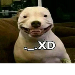 Noobz.
