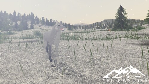 Yellowstone