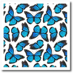 The blue butterfly kingdom
