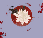 Kuma Empire
