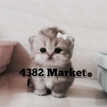 4382 Market