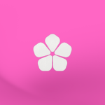 .bloom designs