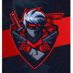 Ninjas of the dark world
