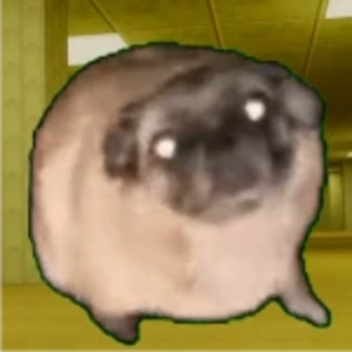 Escape The Dancing Pug Meme Backrooms