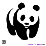 Panda love place