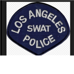 S.W.A.T Team-Elite Forces IV