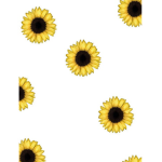 The Sunflower Love