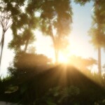 🌿 Evergreen Forest - AFK Nature Experience