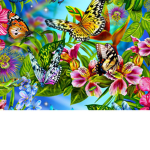 Belle’s Butterfly clothing group