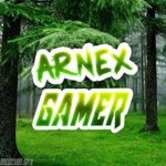 ArnexGroup