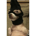 el fortachon