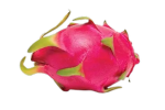 the club for dragon fruit!