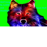 Wolf Gang official