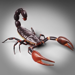 The scorpion hangout