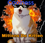 Mittens de kitten