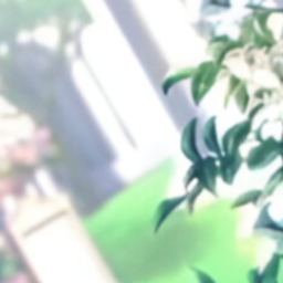 ✦