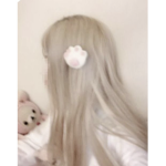 princcesa