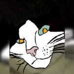 CAT Z