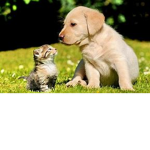 Friends only!!!!! no fighting aloud