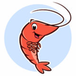 The Killer Shrimp Group