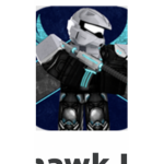 Nighthawk fan group